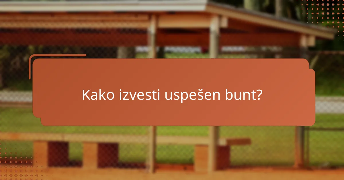 Kako izvesti uspešen bunt?